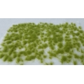 Ciuffi 5 mm verde chiaro